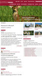 Mobile Screenshot of huemmerich-partner.de